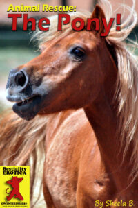 Animal Rescue: The Pony!