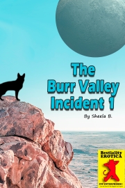 The Burr Valley Incident 1